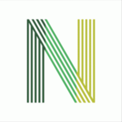 Logo - Northern Pole Vintage Wholesale