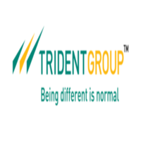 лого - Trident