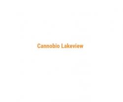 Logo - Lakeview Cannobio
