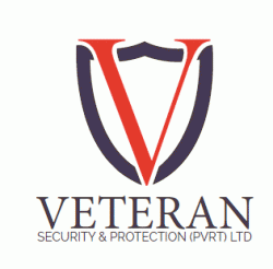 Logo - Veteran Security & Protection