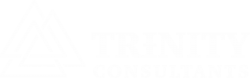 лого - Trenity Consulting Services