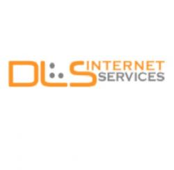 Logo - DLS Internet Services