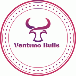 Logo - Ventuno Bulls