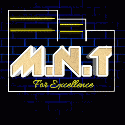 лого - MNT Contractors