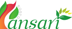 Logo - Sasta Pansari
