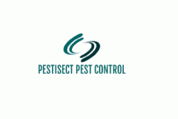 лого - Pestisect Pest Control Brampton, Mississauga, Toronto