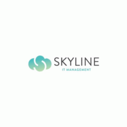 лого - Skyline IT Management