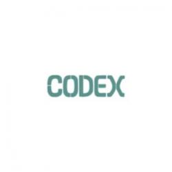 Logo - The Codex World