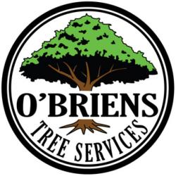 лого - O’Briens Tree Services