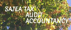 лого - SAJEA Tax, Audit & Accountancy
