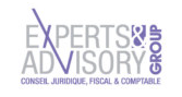 Logo - Experts & Advisory Group (EAG )