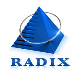Logo - Radixweb