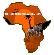 Logo - Nature Tracking Adventure