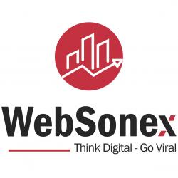 Logo - WebSonex Digital Marketing Agency