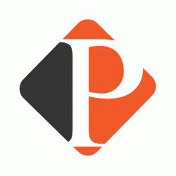 Logo - Practical Brands