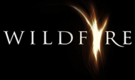 Logo - Wildfire Oil