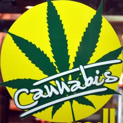 лого - Thai Cannabis Club