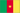 flag of Камерун