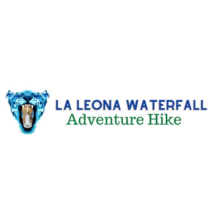 our activities