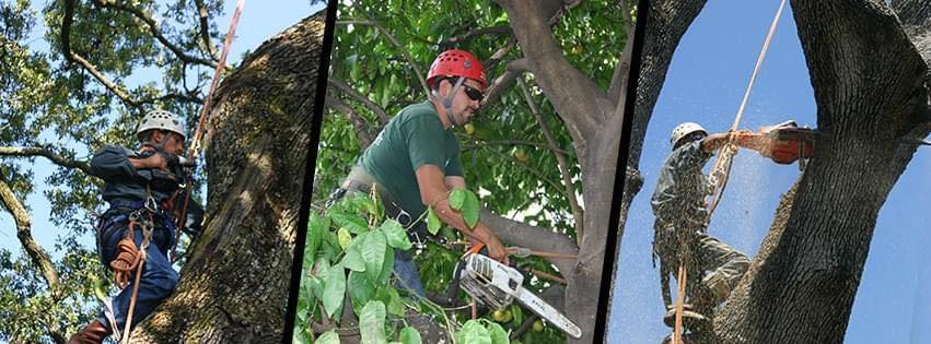 our activities