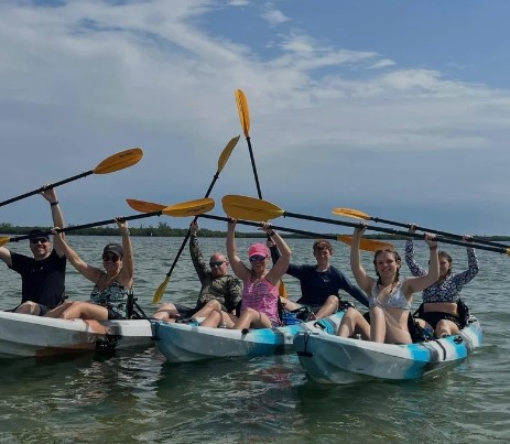our activities