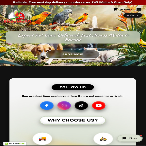 our activities