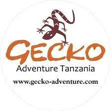 Logo - Gecko-Adventure