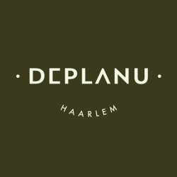 лого - Deplanu