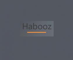 Logo - Habooz