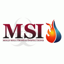 Logo - Mold Solutions & Inspections