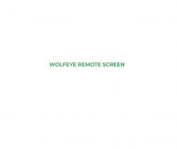 Logo - Wolfeye Remote Screen