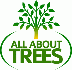 Logo - All About Trees