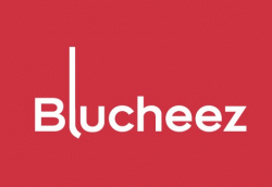 Logo - Blucheez Design Lab