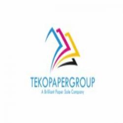 Logo - TEKO PAPER GROUP