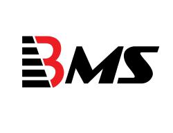 Logo - BMS Auditing