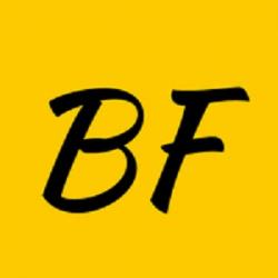 Logo - Bellevue Fencing