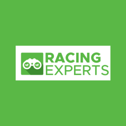 лого - Racing Experts