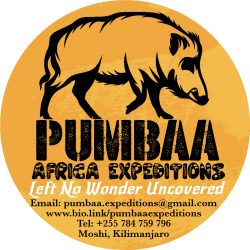 Logo - Pumbaa Africa Expeditions