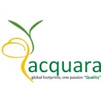 Logo - Acquara Management Consultant