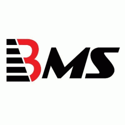 Logo - BMS Auditing