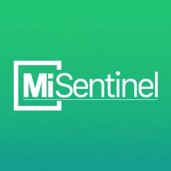 Logo - Misentinel