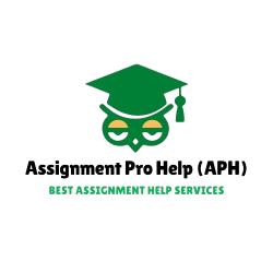 Logo - Assignment Pro Help