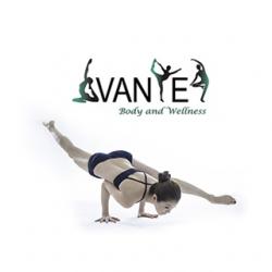 Logo - Avante Body and Wellness, Yoga Orchard