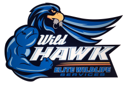 Logo - WildHawk Elite Wildlife Services