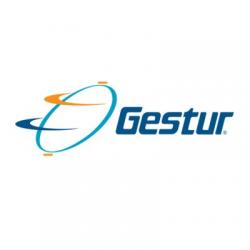 Logo - Gestur