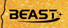 Logo - Beast Electric Skateboard