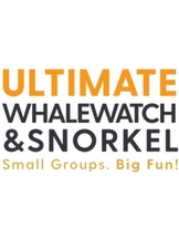 лого - Ultimate Whale Watch & Snorkel