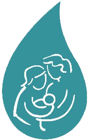 лого - Best Saqib Fertility & IVF Centre