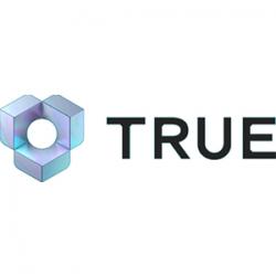 Logo - True Value Software AB