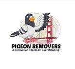 Logo - Pigeon Removers